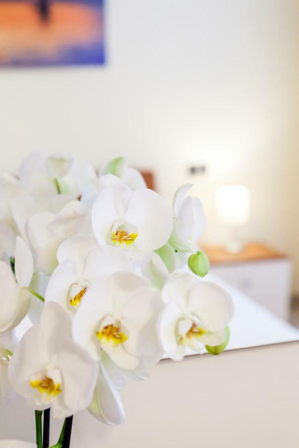 Iris Centralissimo Санремо Экстерьер фото